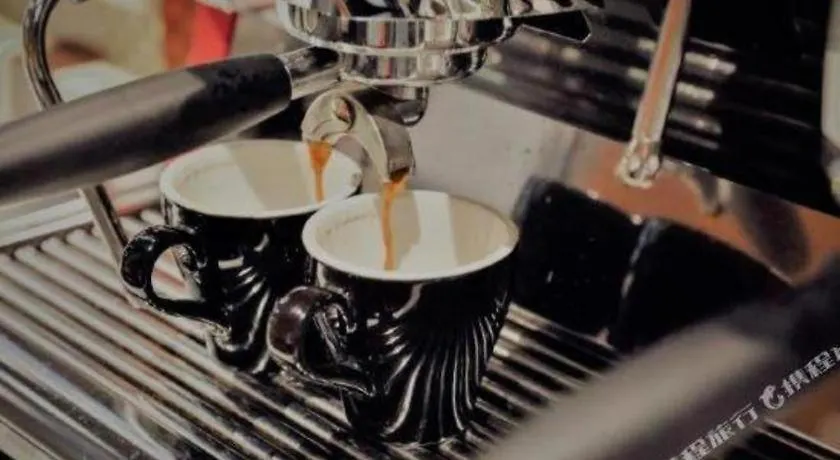 James Joyce Coffetel- Zhengzhou Wenhua Road Technology Market الصين